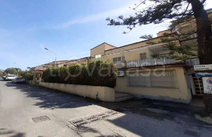 appartamento in vendita a Belvedere Marittimo