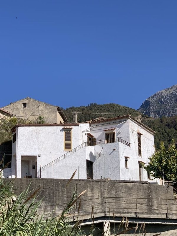 esavano in vendita a Belvedere Marittimo