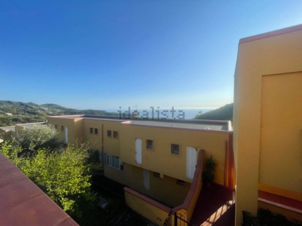 appartamento in vendita a Belvedere Marittimo