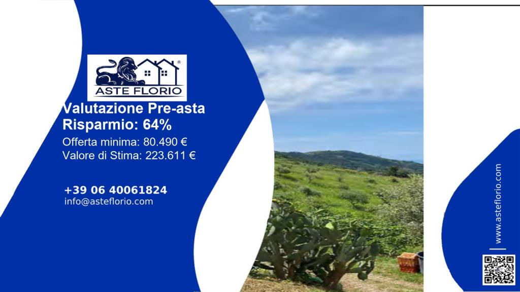terreno agricolo in vendita a Belvedere Marittimo