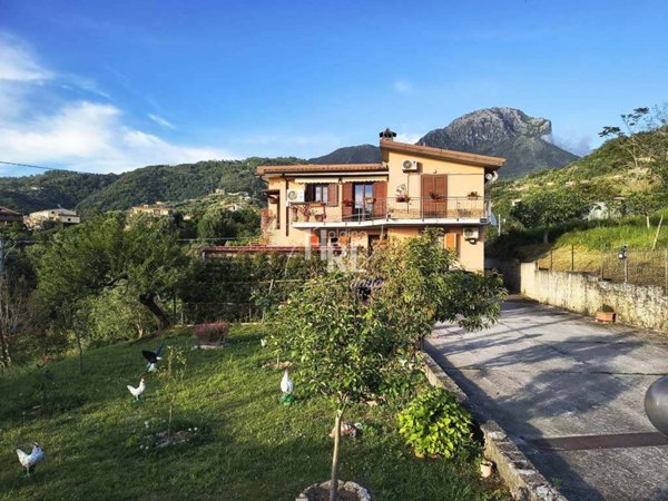casa indipendente in vendita a Belvedere Marittimo