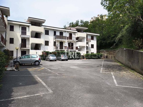 appartamento in vendita a Belvedere Marittimo