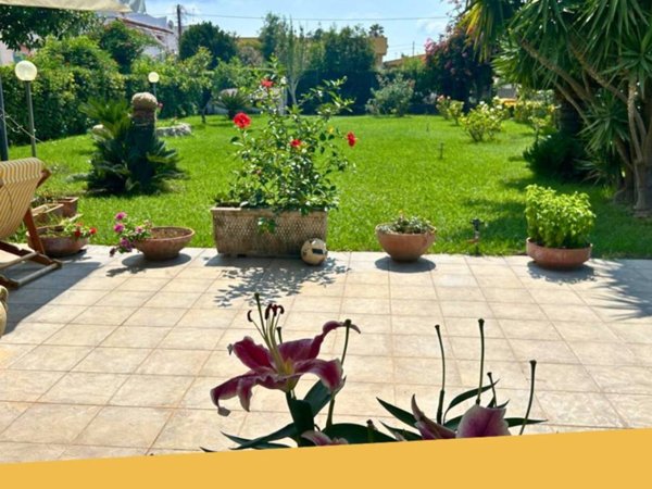 casa indipendente in vendita a Belvedere Marittimo