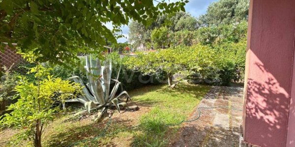 casa indipendente in vendita a Belvedere Marittimo