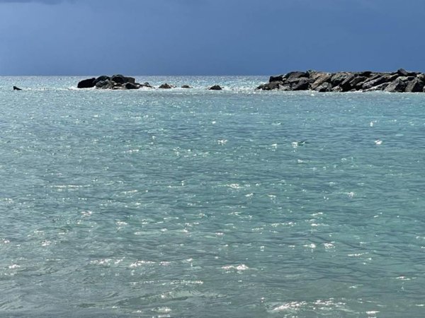 appartamento in vendita a Belvedere Marittimo