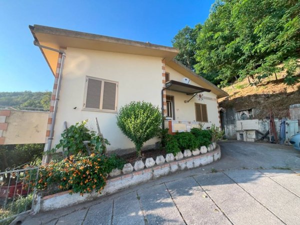 casa indipendente in vendita a Belvedere Marittimo