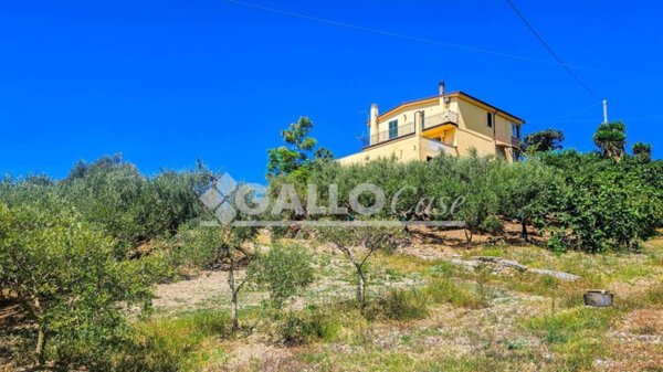 appartamento in vendita a Belvedere Marittimo