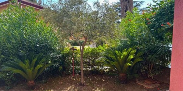 casa indipendente in vendita a Belvedere Marittimo
