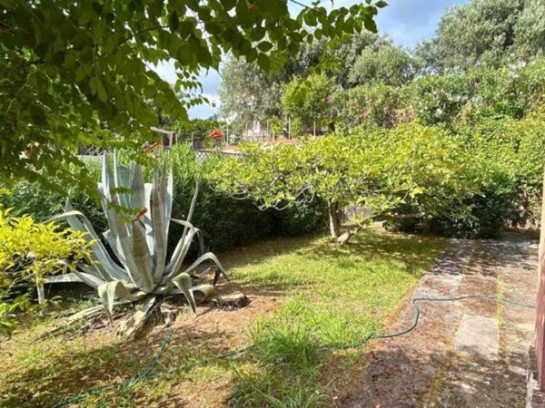 casa indipendente in vendita a Belvedere Marittimo