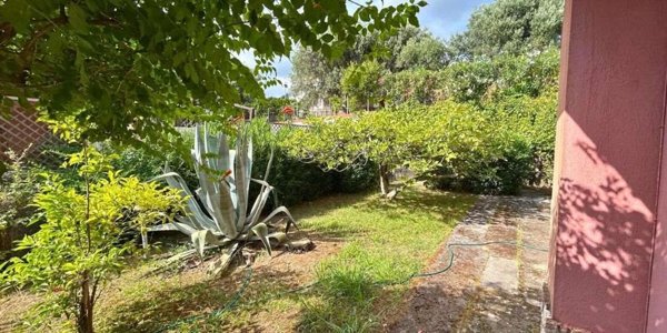 casa indipendente in vendita a Belvedere Marittimo