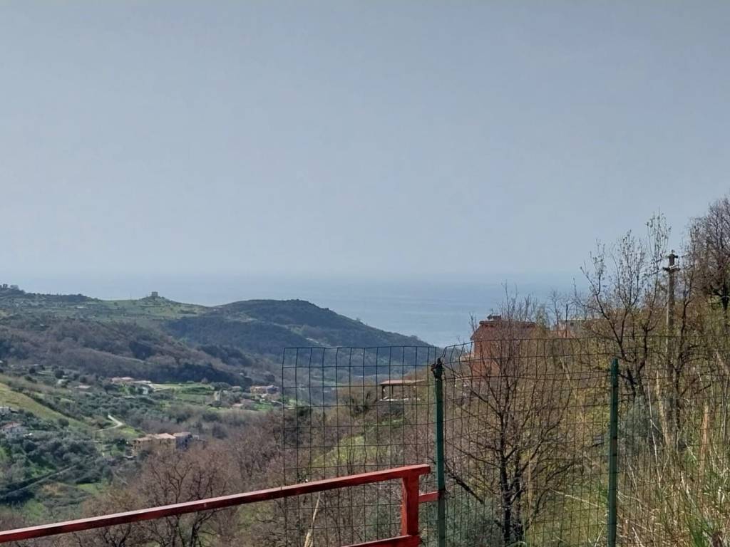 appartamento in vendita a Belvedere Marittimo