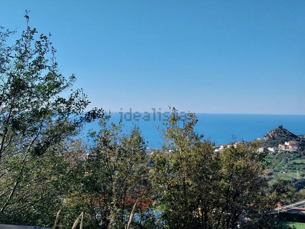 esavano in vendita a Belvedere Marittimo
