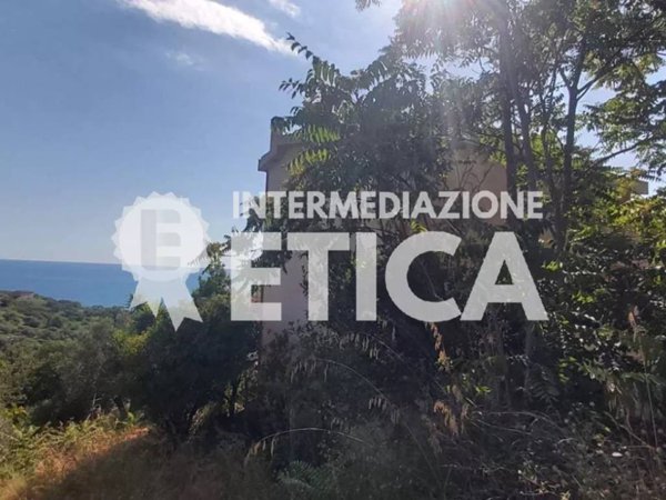 casa indipendente in vendita a Belvedere Marittimo