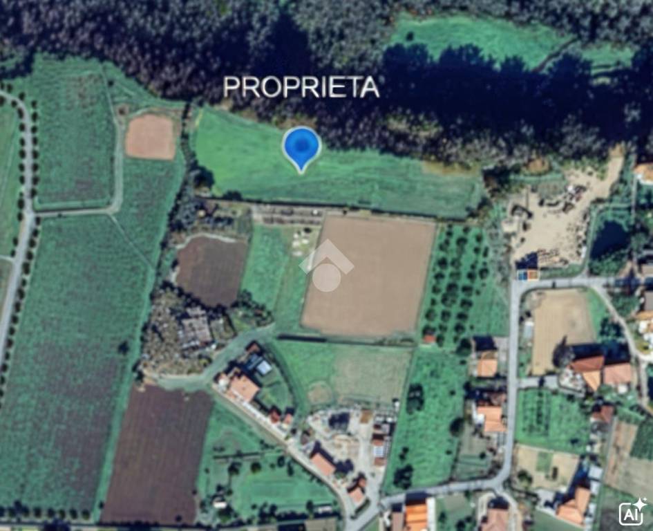 casa indipendente in vendita a Belvedere Marittimo