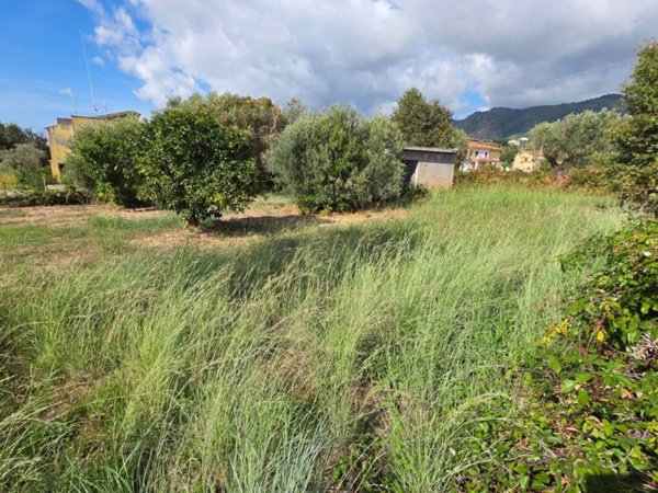terreno agricolo in vendita a Belvedere Marittimo