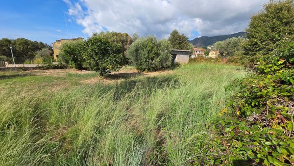 terreno edificabile in vendita a Belvedere Marittimo