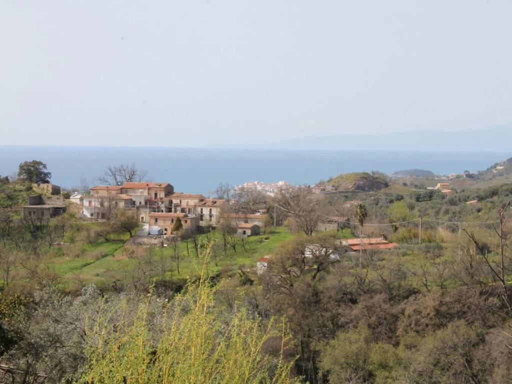 terreno agricolo in vendita a Belvedere Marittimo