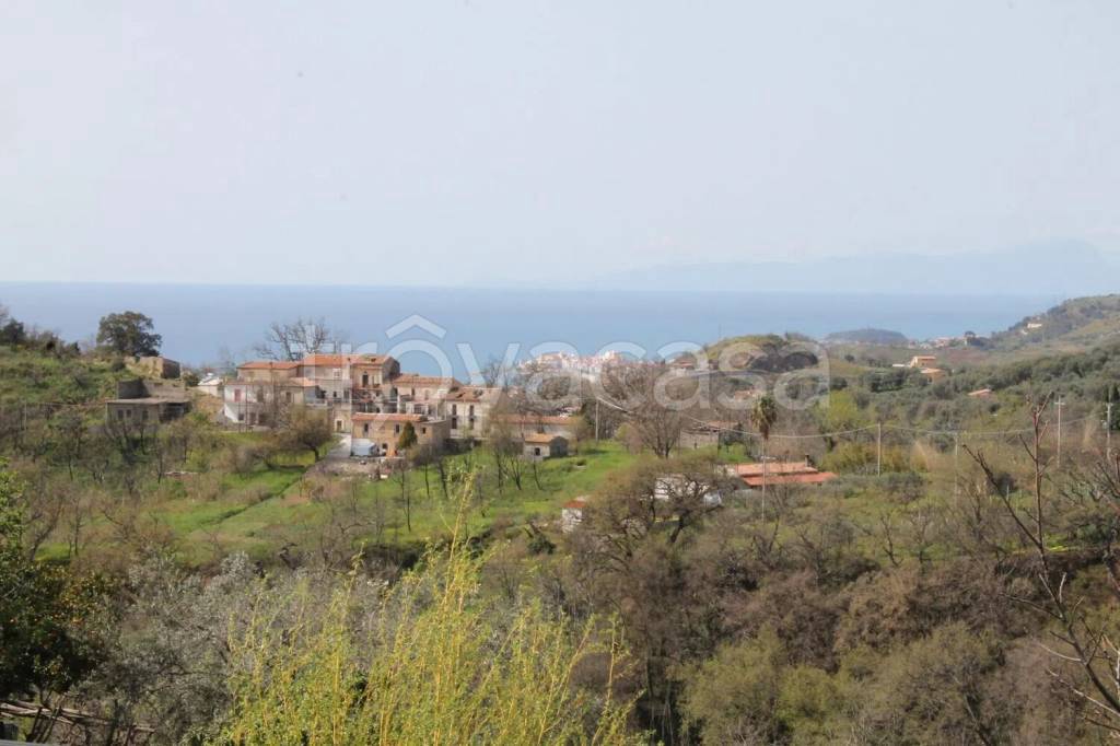 terreno agricolo in vendita a Belvedere Marittimo