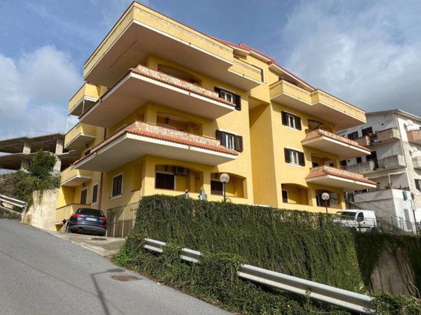 appartamento in vendita a Belvedere Marittimo