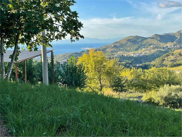 appartamento in vendita a Belvedere Marittimo