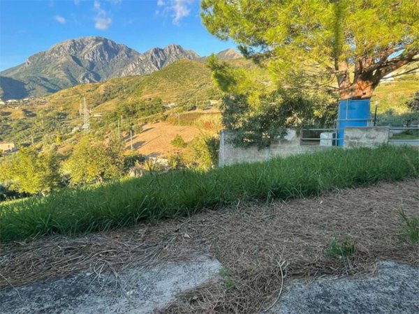 casa indipendente in vendita a Belvedere Marittimo