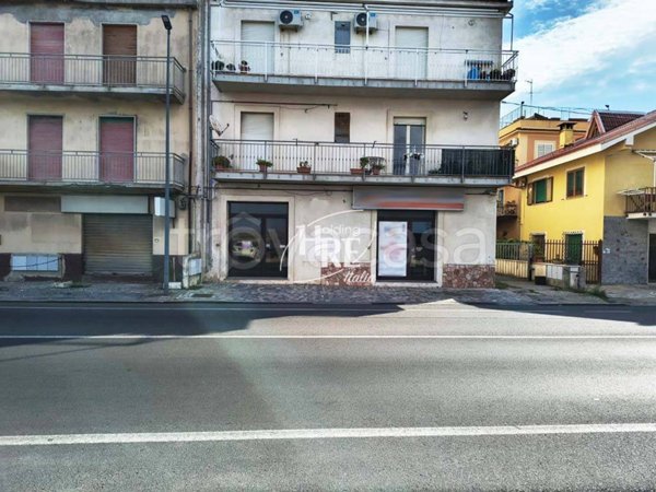 negozio in vendita a Belvedere Marittimo