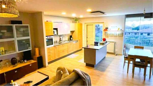 appartamento in vendita a Belvedere Marittimo