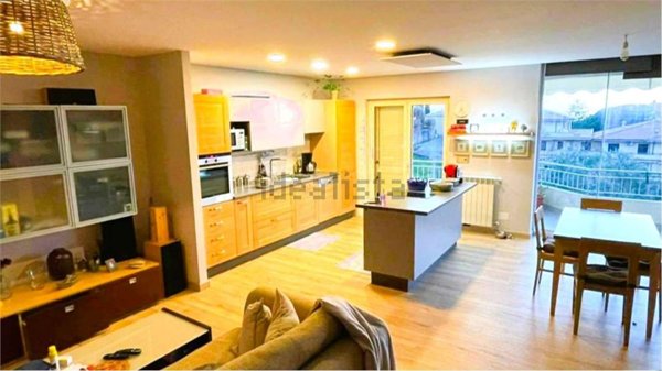 appartamento in vendita a Belvedere Marittimo