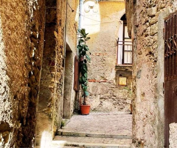 appartamento in vendita a Belvedere Marittimo