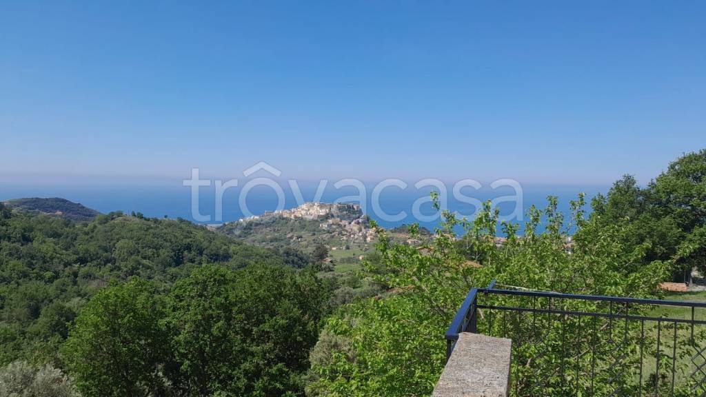 casa indipendente in vendita a Belvedere Marittimo