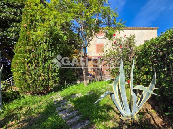 casa indipendente in vendita a Belvedere Marittimo