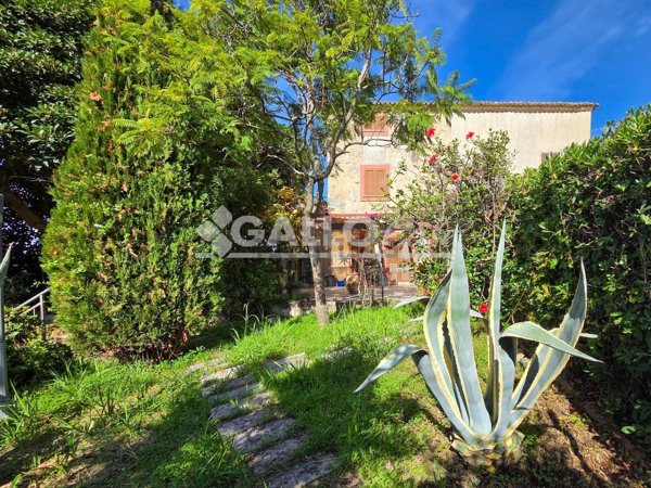 quadrivano in vendita a Belvedere Marittimo