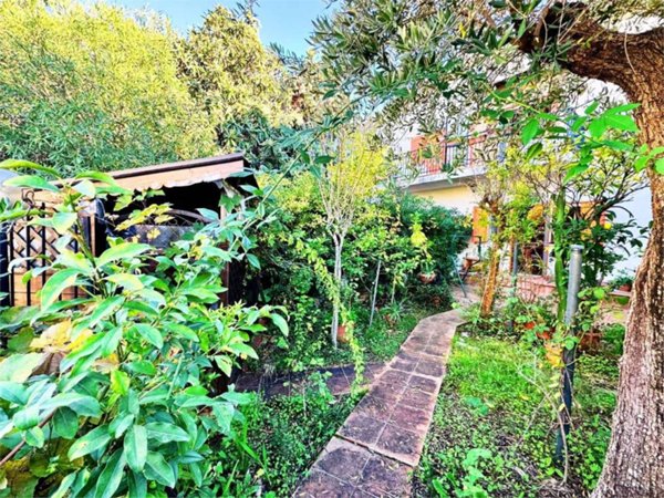 casa indipendente in vendita a Belvedere Marittimo