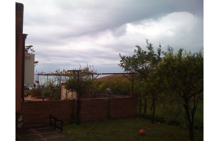 casa indipendente in vendita a Belvedere Marittimo