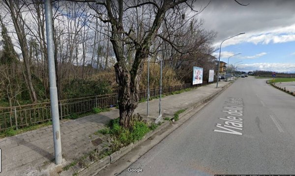 negozio in vendita a Belvedere Marittimo