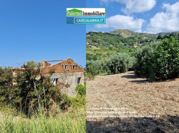 terreno agricolo in vendita a Belvedere Marittimo