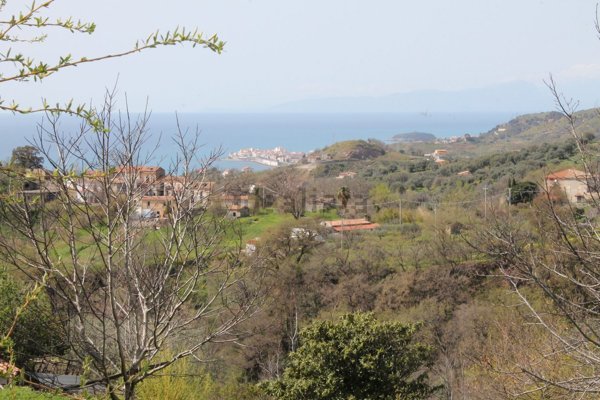 terreno agricolo in vendita a Belvedere Marittimo