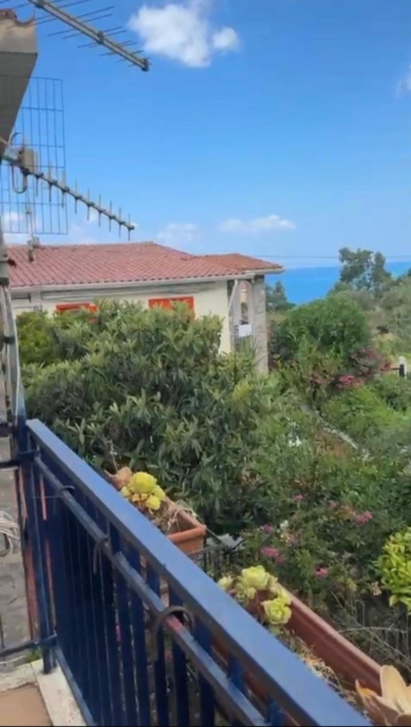 casa indipendente in vendita a Belvedere Marittimo