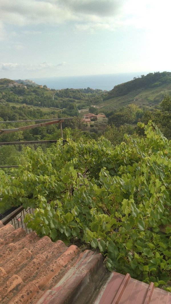 casale in vendita a Belvedere Marittimo