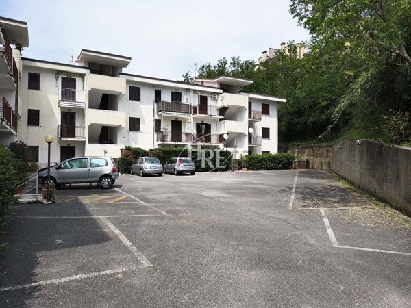 appartamento in vendita a Belvedere Marittimo