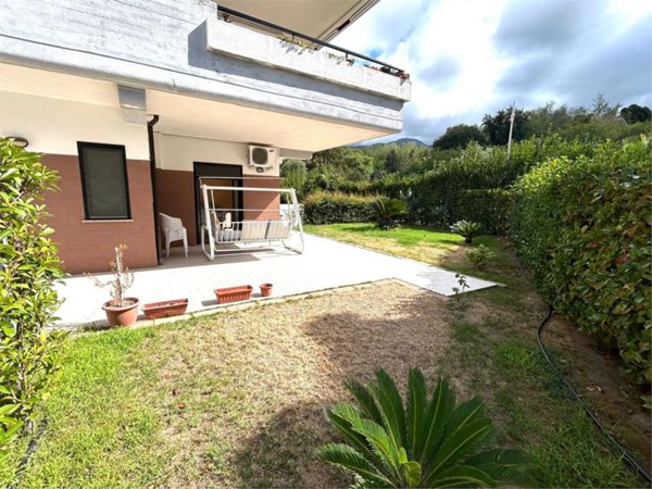 appartamento in vendita a Belvedere Marittimo