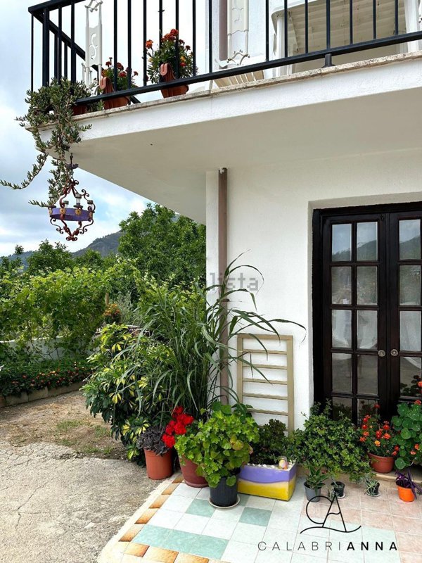 casa indipendente in vendita a Belvedere Marittimo