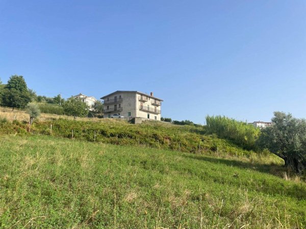 intera palazzina in vendita a Belvedere Marittimo