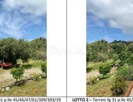 ufficio in vendita a Belvedere Marittimo