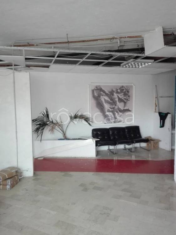 negozio in vendita a Belvedere Marittimo