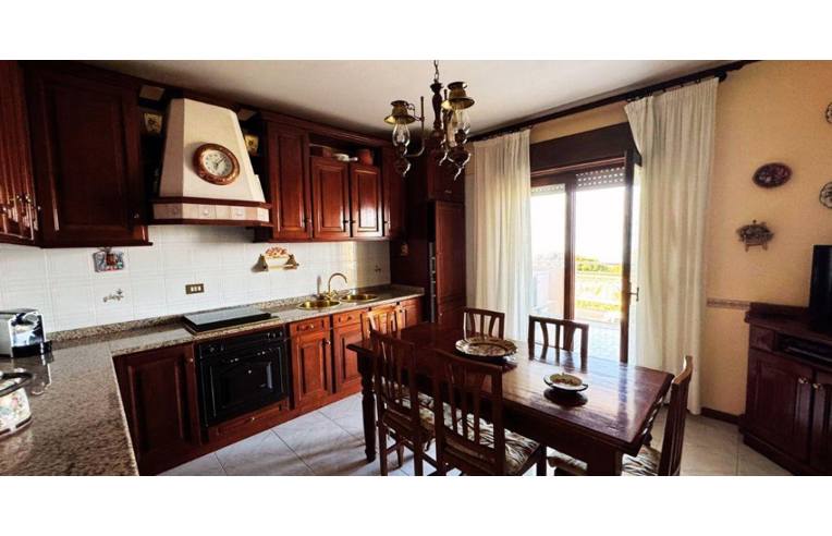 appartamento in vendita a Belvedere Marittimo