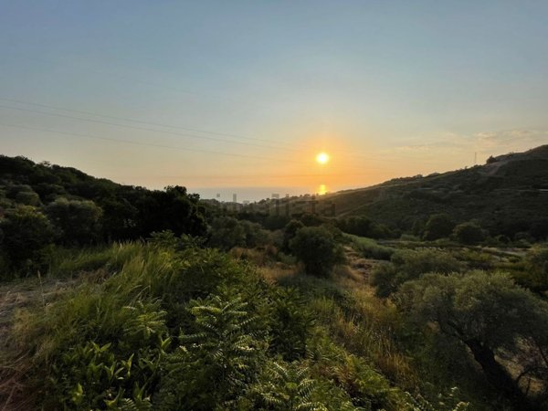 appartamento in vendita a Belvedere Marittimo