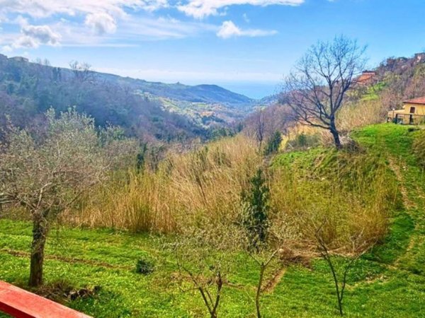 casa indipendente in vendita a Belvedere Marittimo