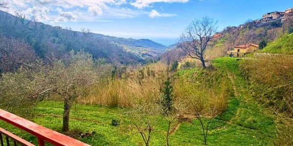 casa indipendente in vendita a Belvedere Marittimo