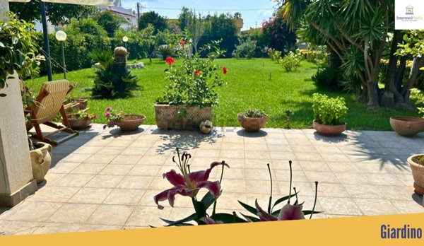 casa indipendente in vendita a Belvedere Marittimo